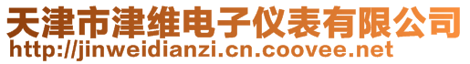 天津市津維電子儀表有限公司