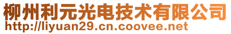 柳州利元光電技術有限公司