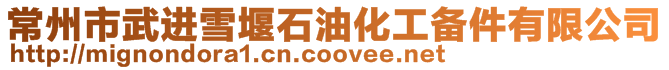 常州市武進(jìn)雪堰石油化工備件有限公司