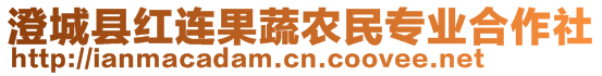 澄城縣紅連果蔬農(nóng)民專業(yè)合作社