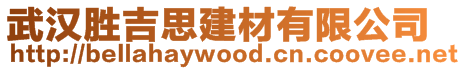 武漢勝吉思建材有限公司