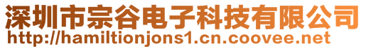 深圳市宗谷電子科技有限公司