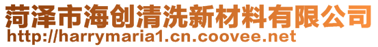 菏澤市海創(chuàng)清洗新材料有限公司