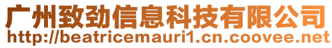 廣州致勁信息科技有限公司