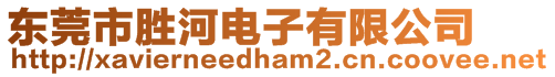 東莞市勝河電子有限公司