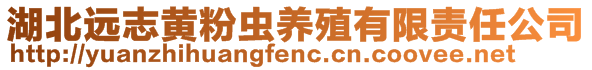 湖北遠(yuǎn)志黃粉蟲(chóng)養(yǎng)殖有限責(zé)任公司