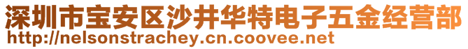 深圳市寶安區(qū)沙井華特電子五金經營部