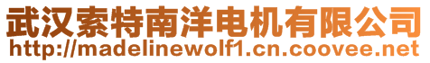 武漢索特南洋電機有限公司