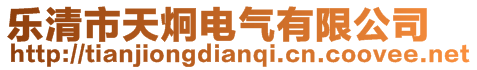 樂清市天炯電氣有限公司
