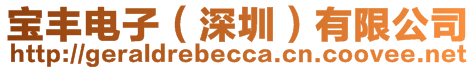 寶豐電子（深圳）有限公司