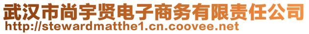 武漢市尚宇賢電子商務(wù)有限責(zé)任公司