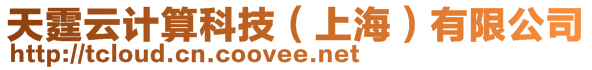 天霆云計(jì)算科技（上海）有限公司