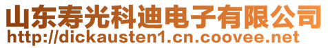 山東壽光科迪電子有限公司