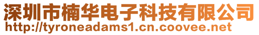 深圳市楠华电子科技有限公司