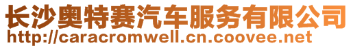 長沙奧特賽汽車服務有限公司