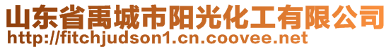 山東省禹城市陽光化工有限公司