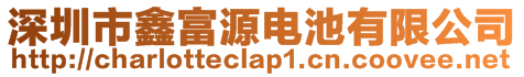 深圳市鑫富源电池有限公司