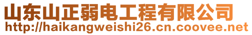 山東山正弱電工程有限公司