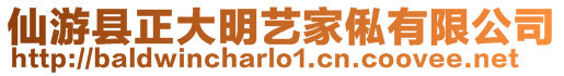 仙游縣正大明藝家俬有限公司