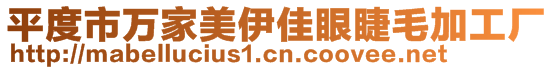 平度市萬(wàn)家美伊佳眼睫毛加工廠