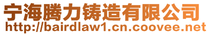 寧海騰力鑄造有限公司