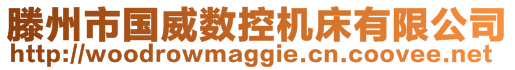 滕州市國威數控機床有限公司