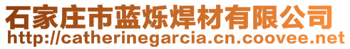 石家庄市蓝烁焊材有限公司