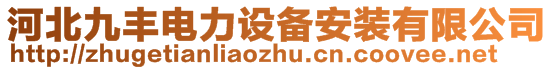 河北九豐電力設(shè)備安裝有限公司