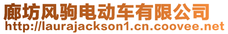 廊坊風駒電動車有限公司