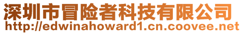 深圳市冒險者科技有限公司