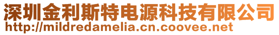 深圳金利斯特電源科技有限公司