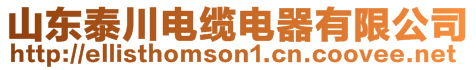 山東泰川電纜電器有限公司