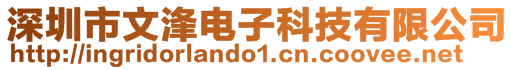 深圳市文浲电子科技有限公司