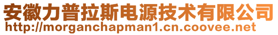 安徽力普拉斯电源技术有限公司