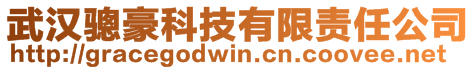 武汉骢豪科技有限责任公司