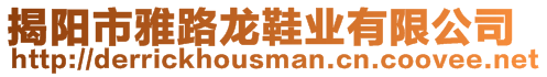 揭陽(yáng)市雅路龍鞋業(yè)有限公司