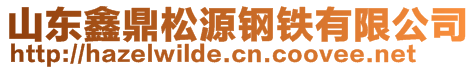 山东鑫鼎松源钢铁有限公司