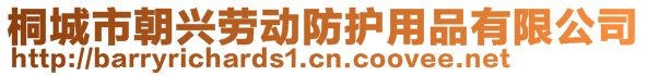 桐城市朝興勞動防護用品有限公司