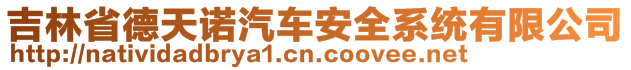 吉林省德天諾汽車安全系統(tǒng)有限公司