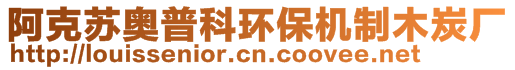 阿克蘇奧普科環(huán)保機(jī)制木炭廠