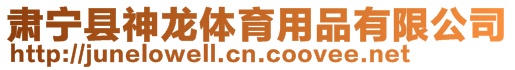 肅寧縣神龍?bào)w育用品有限公司