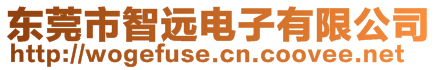 東莞市智遠電子有限公司