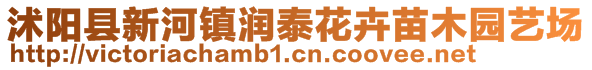 沭阳县新河镇润泰花卉苗木园艺场