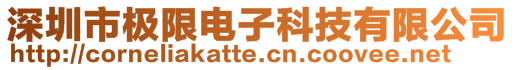 深圳市極限電子科技有限公司