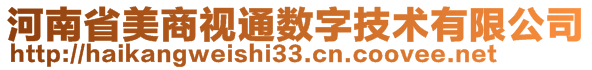 河南省美商视通数字技术有限公司