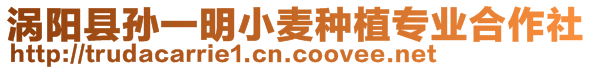 渦陽(yáng)縣孫一明小麥種植專業(yè)合作社