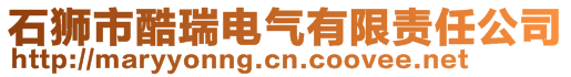 石獅市酷瑞電氣有限責任公司