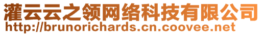 灌云云之領(lǐng)網(wǎng)絡(luò)科技有限公司