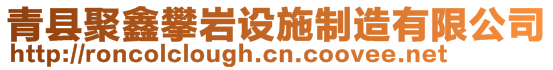 青縣聚鑫攀巖設(shè)施制造有限公司