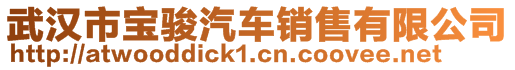 武漢市寶駿汽車銷售有限公司